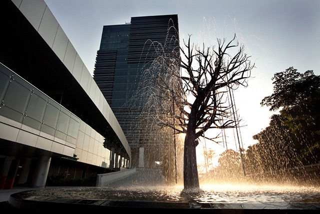 Mapletree